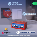 NOUS - Zigbee ON/OFF module + Consumption measurement - 2 loads