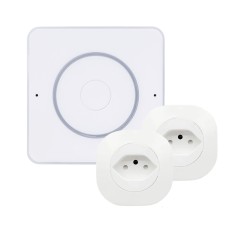 Pack Home Assistant Voice Preview + 2xPrise ESPHome au formt suisse
