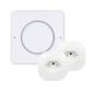 Pack Home Assistant Voice Preview + 2x ESPHome socket in Swiss format