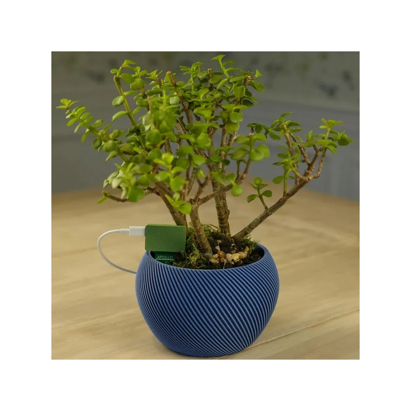 Apollo Automation - Capteur pour plantes Apollo PLT-1 pour Home Assistant (version Non-Battery )