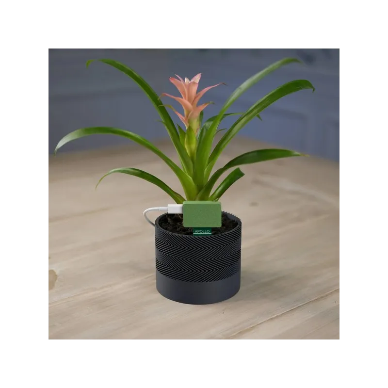 Apollo Automation - Capteur pour plantes Apollo PLT-1 pour Home Assistant (version Non-Battery )