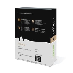 Rithum -  Plugin Loxone