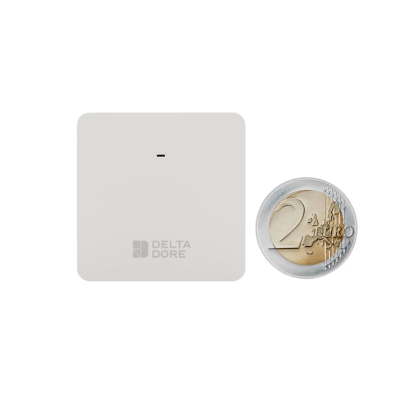 Delta Dore – Wireless indoor temperature sensor