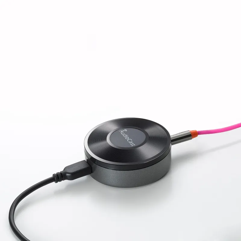 iEAST AudioCast M5 - Wireless Multi-Room Music Streamer DLNA AirPlay