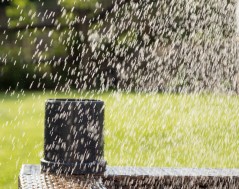 Popp - Pluviomètre Z-Wave+ Z-Rain