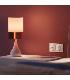 FIBARO - Interruttore Dimmer intelligente Z-Wave+ (FIBARO Walli Dimmer)