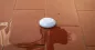 SHELLY - Wi-Fi Hochwassersensor mit Temperaturmessung (Shelly Flood) SHELLY - Wi-Fi Hochwassersensor mit Temperaturmessung (Shelly Flood)
