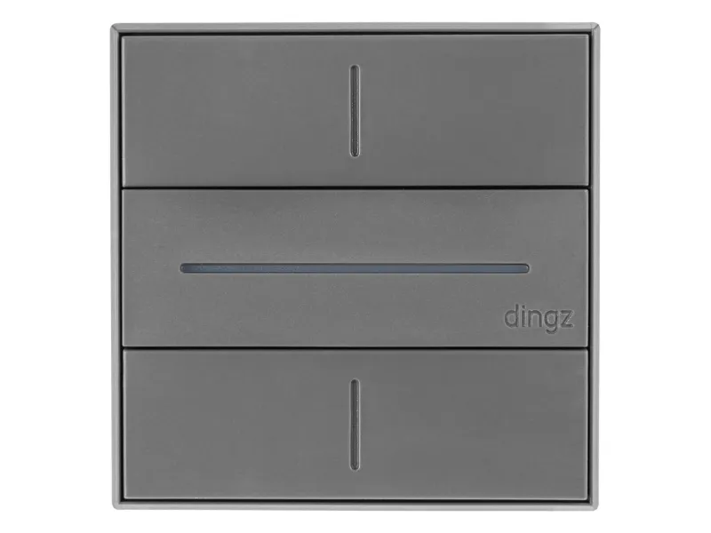 Dingz - Multifunction Wifi switch «dingz» (dark grey)