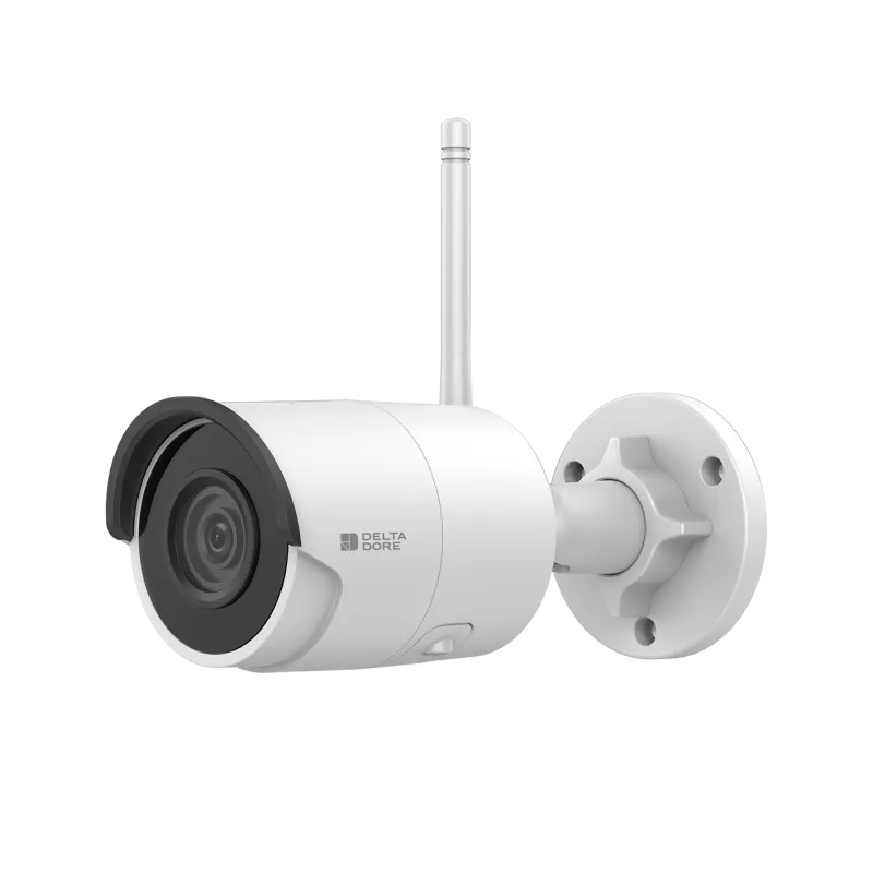 Delta Dore - Caméra de sécurité extérieur Tycam 2100