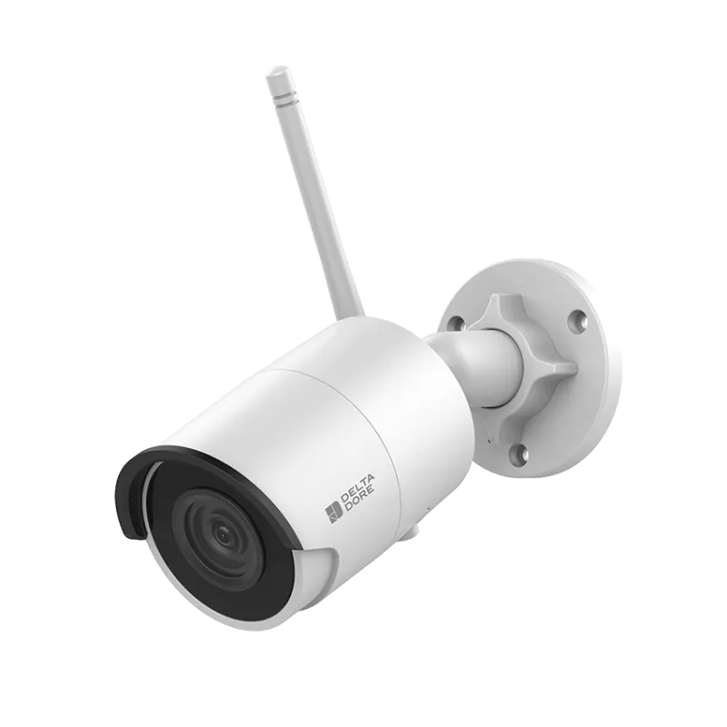Delta Dore - Telecamera di sicurezza esterna Tycam 2100