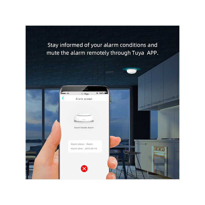 Heiman - Intelligenter WIFI-Rauchmelder TUYA