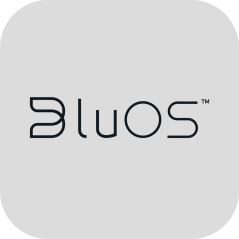 Rithum -Plugin BluOS Lite